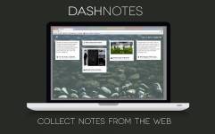 DashNotes标签插件