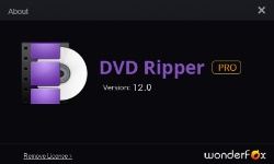 WonderFox DVD Ripper PRO - DVD视频转换抓取软件